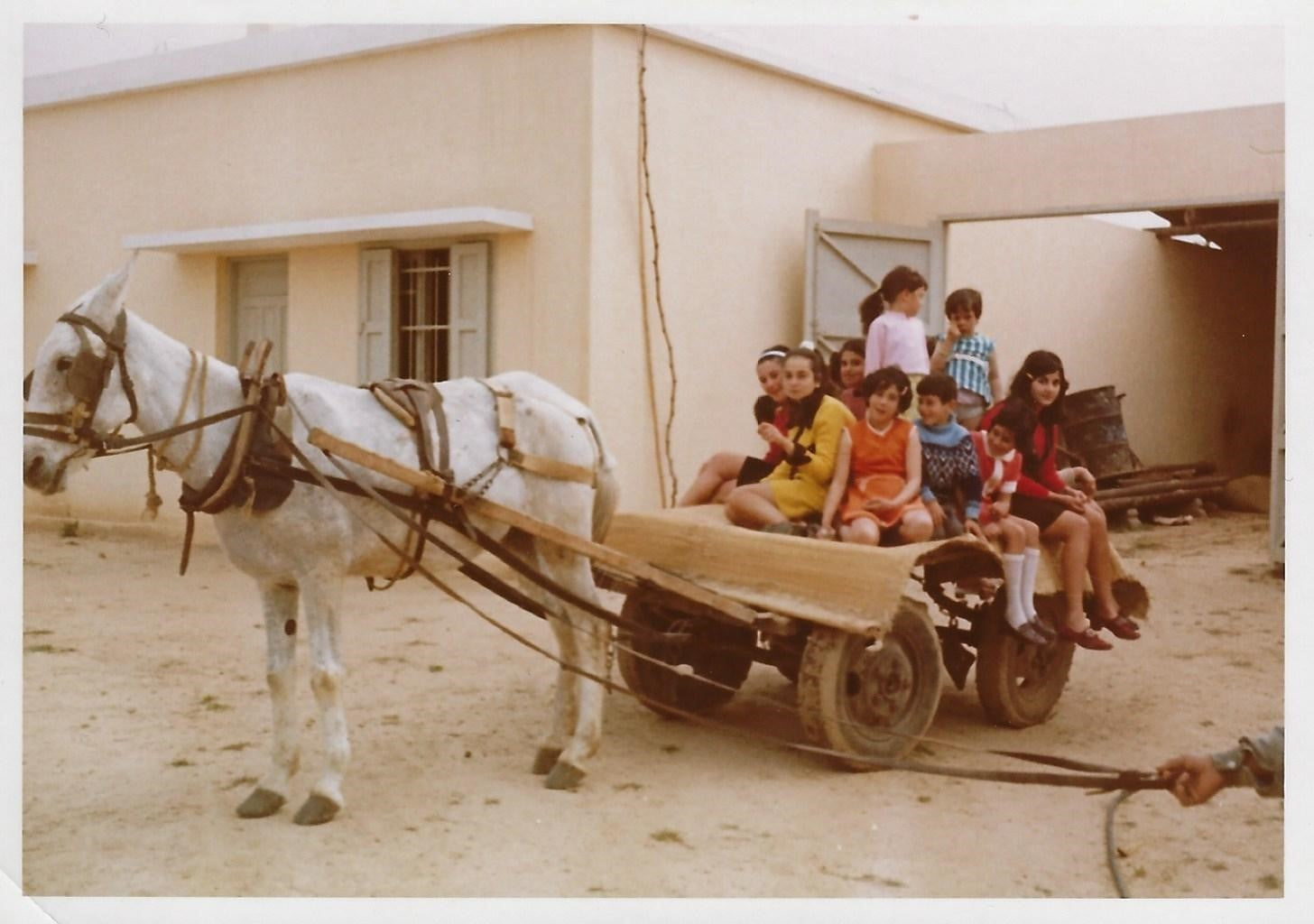 Memories of Gaza by Palestinian author Hooda Al Shawa